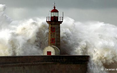 WIRkungsvolles Arbeiten in der Krise
